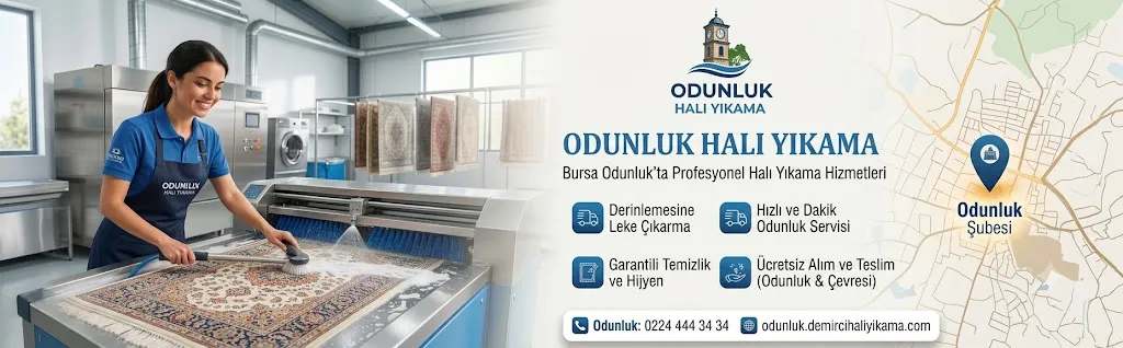 Odunluk Halı Yıkama