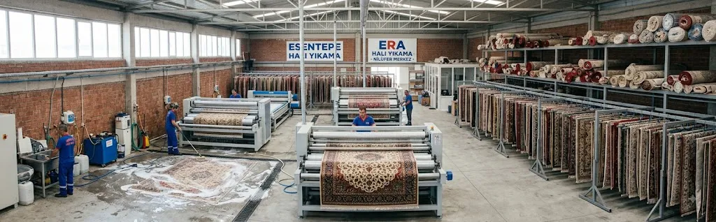 Esentepe Halı Yıkama