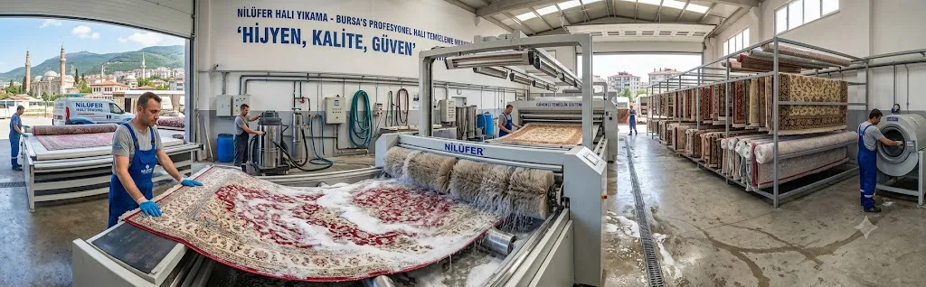 Nilüfer Halı Yıkama 