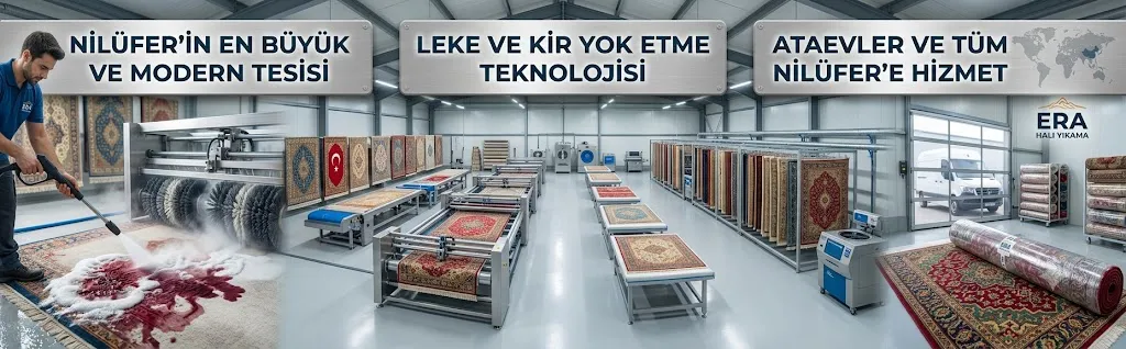 Ataevler Halı Yıkama