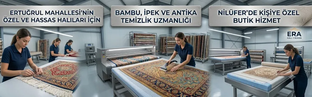 Ertuğrul Halı Yıkama