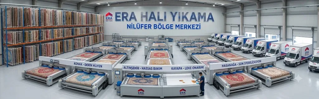 Kayapa Halı Yıkama